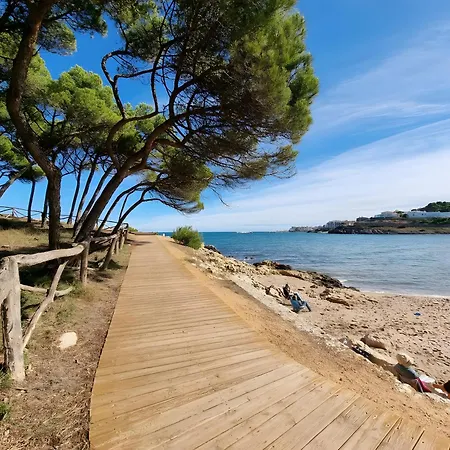 Cargol De Mar